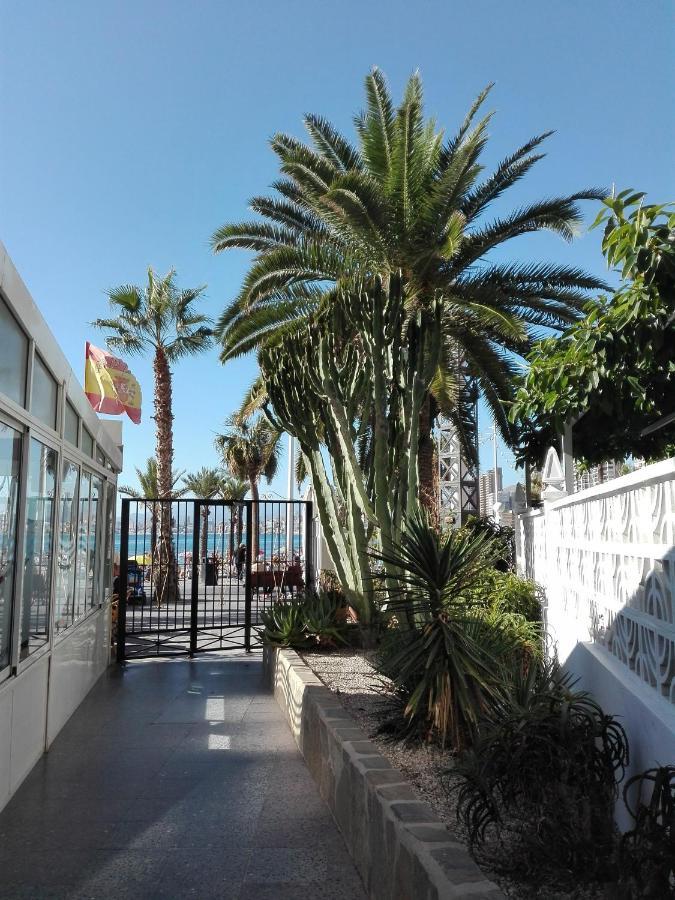 Apartamento Playa Levante Renovado Con Vistas Maravillosas Don Miguel 1 Deluxe * Benidorm