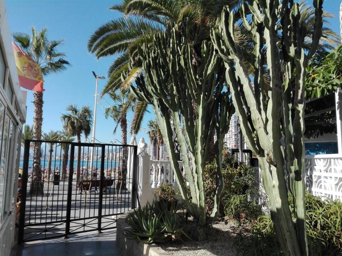 Apartamento Apartamento Playa Levante Renovado Con Vistas Maravillosas Don Miguel 1 Deluxe *
